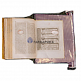 Вакуумный стол-клин для книг ST3024